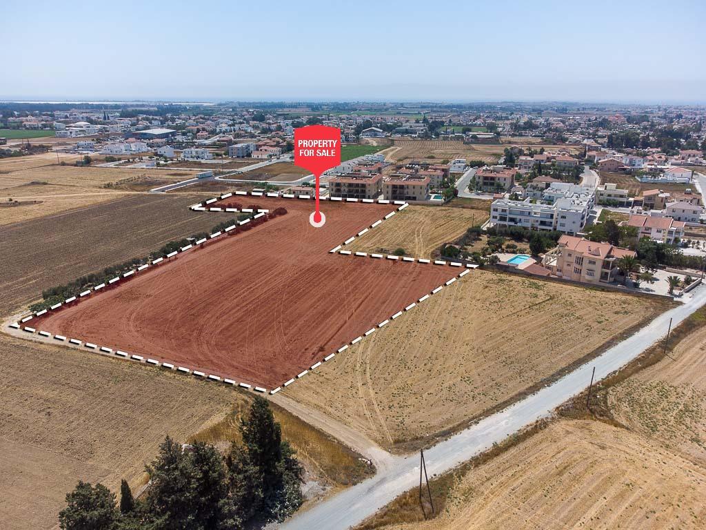 Field - Kiti, Larnaca