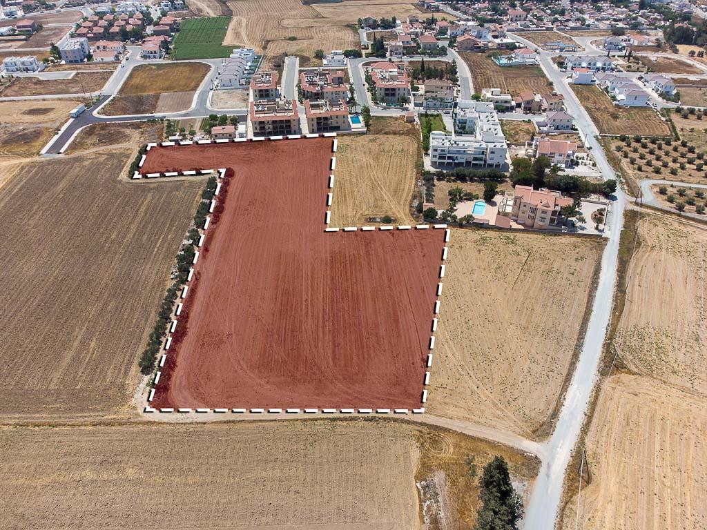 Field - Kiti, Larnaca