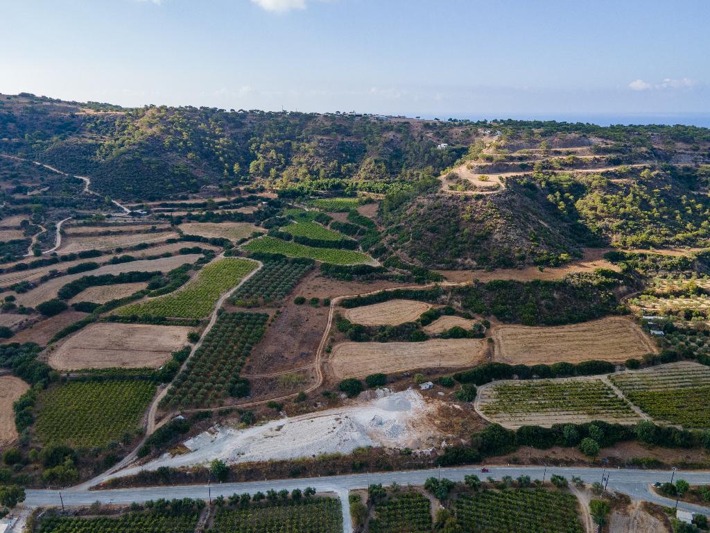 Field  - Pissouri, Limassol