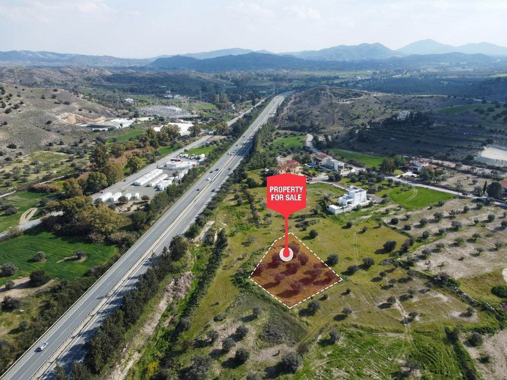 Field - Alambra, Nicosia