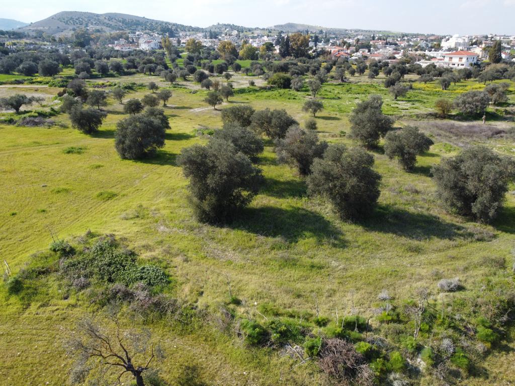 Field - Alambra, Nicosia