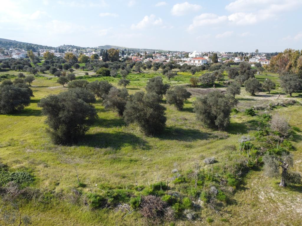 Field - Alambra, Nicosia