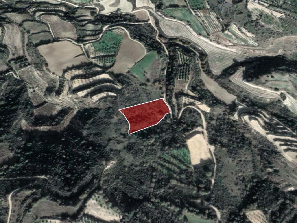 Field-Giolou-PR34699