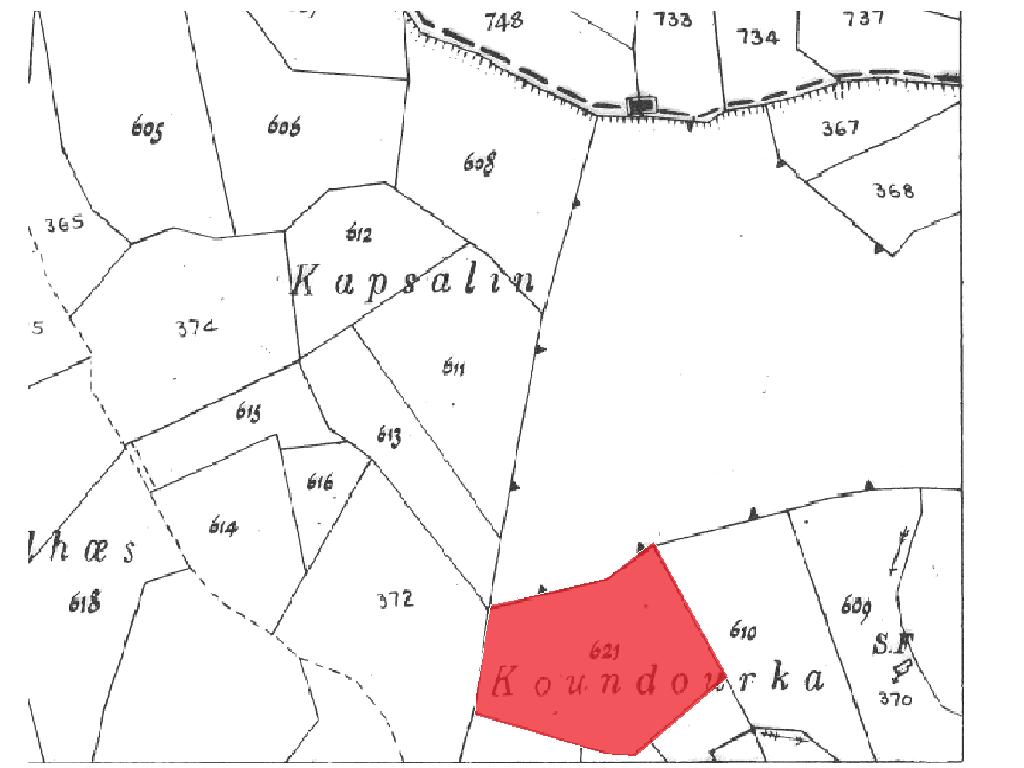 Field-Koilinia-PR35354