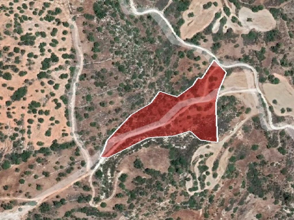 Field-Peristerona-PR35660