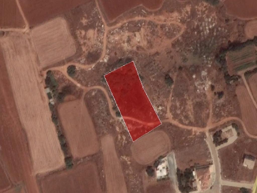 Field-Sotira-PR35502