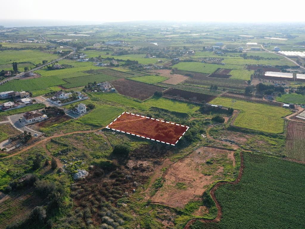 Field-Sotira-PR35502