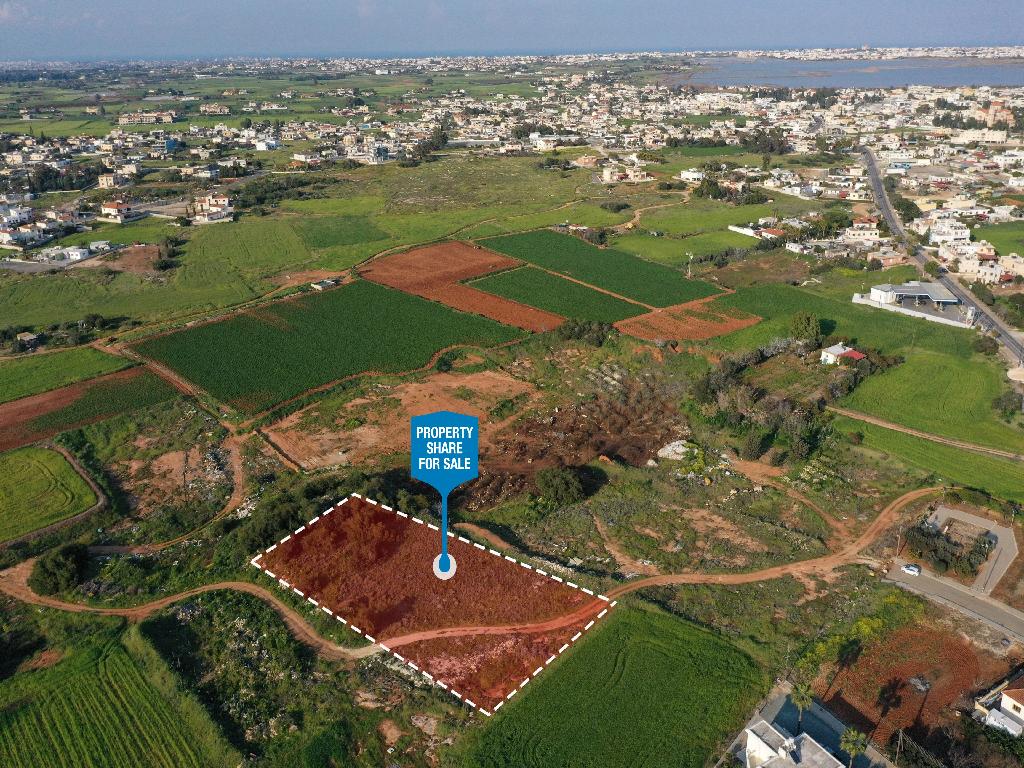Field-Sotira-PR35502