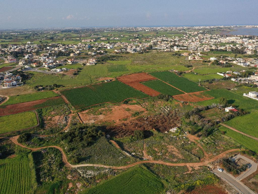 Field-Sotira-PR35502