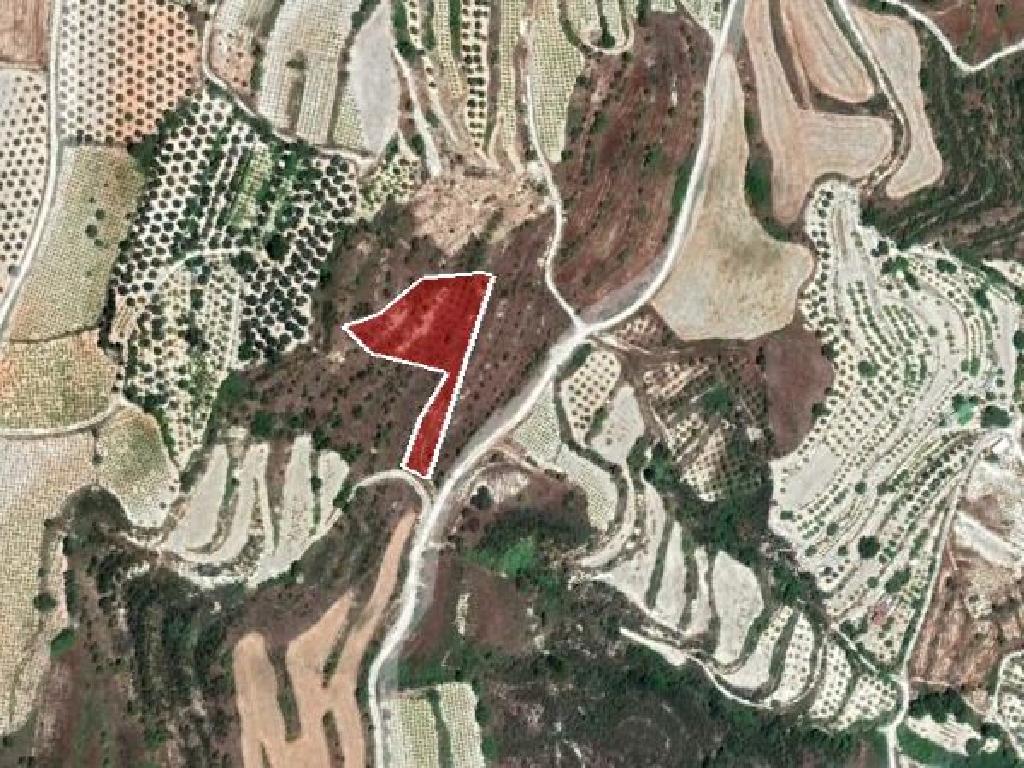 Field-Tsada-PR37253