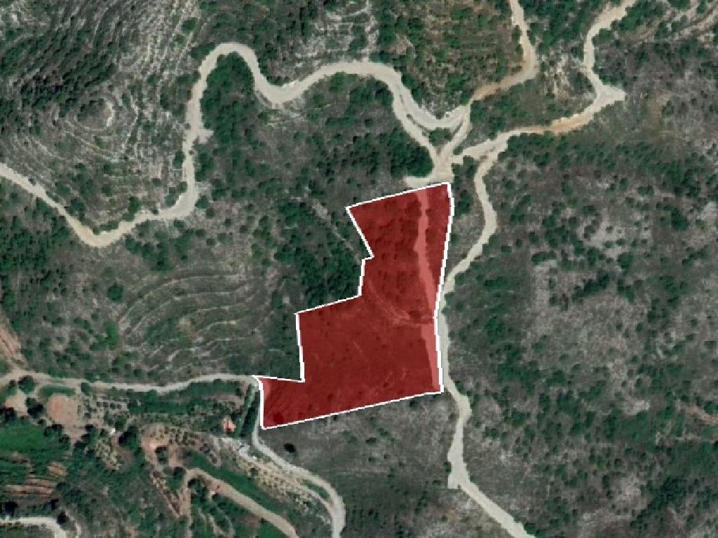 Field-Pelendri-PR38089