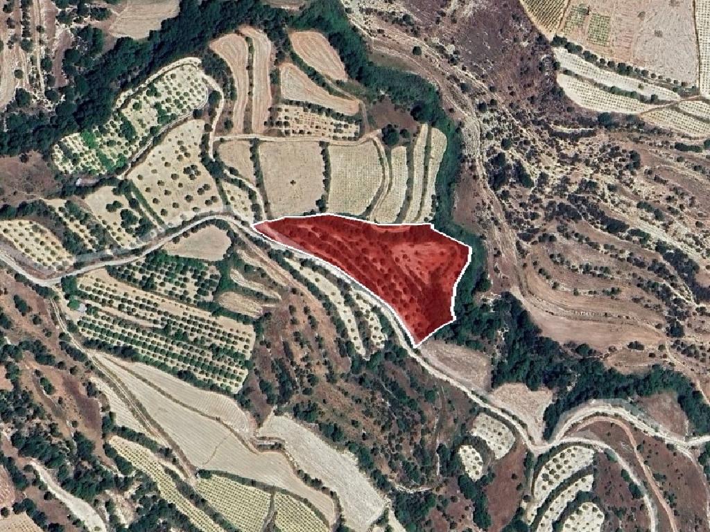 Field-Kallepeia-PR41283