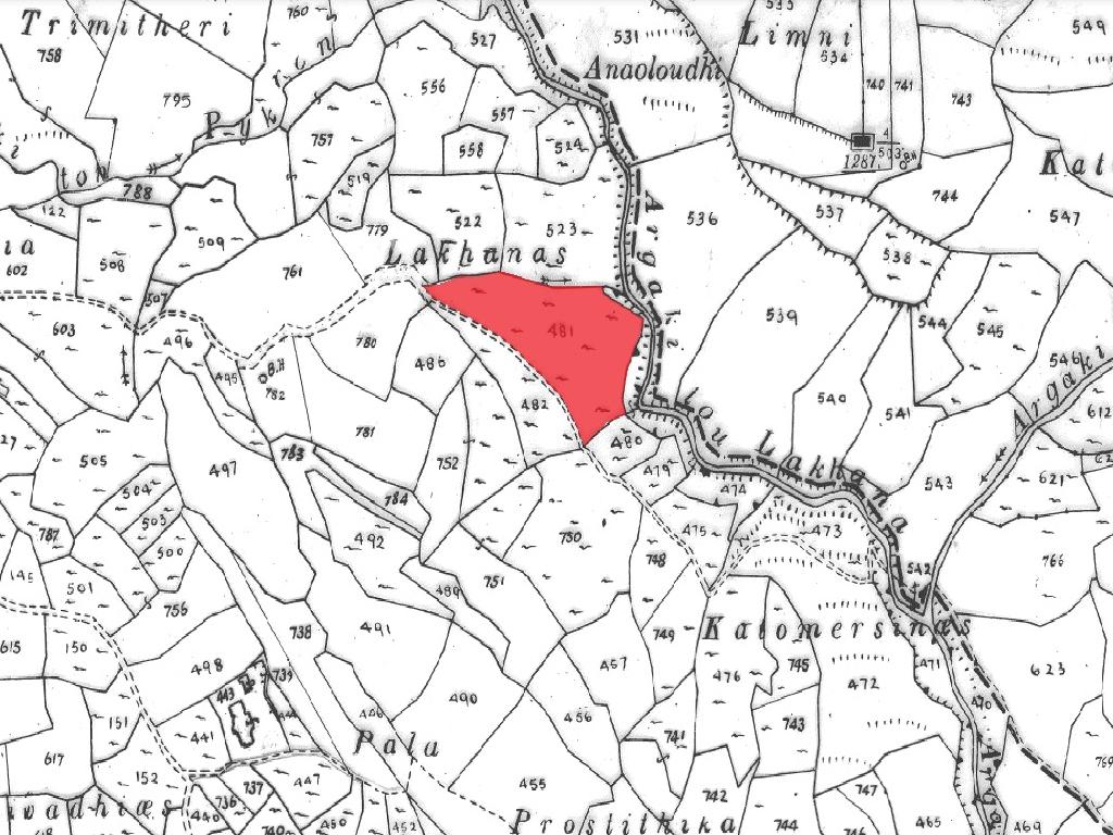 Field-Kallepeia-PR41283