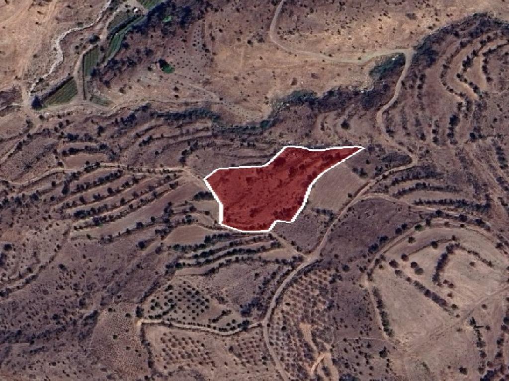 Field-Pentalia-PR42004