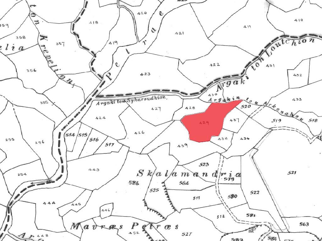 Field-Pentalia-PR42004