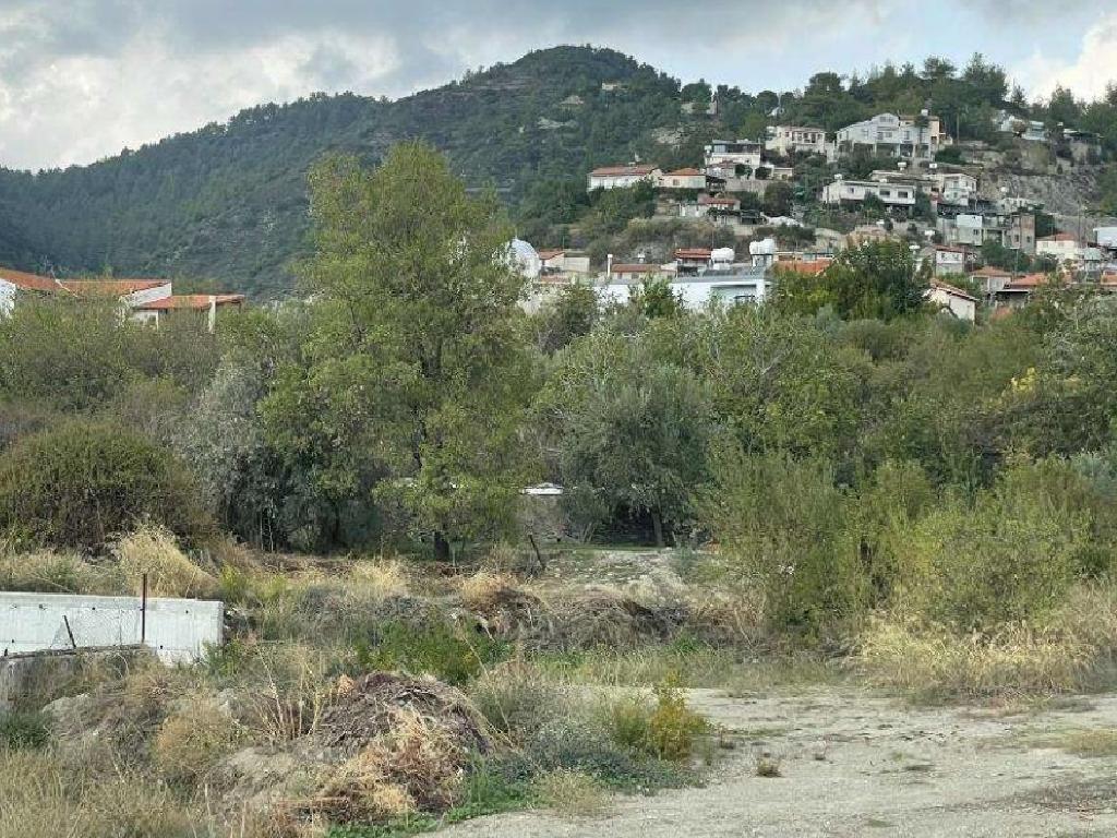 Field-Pelendri-PR42084