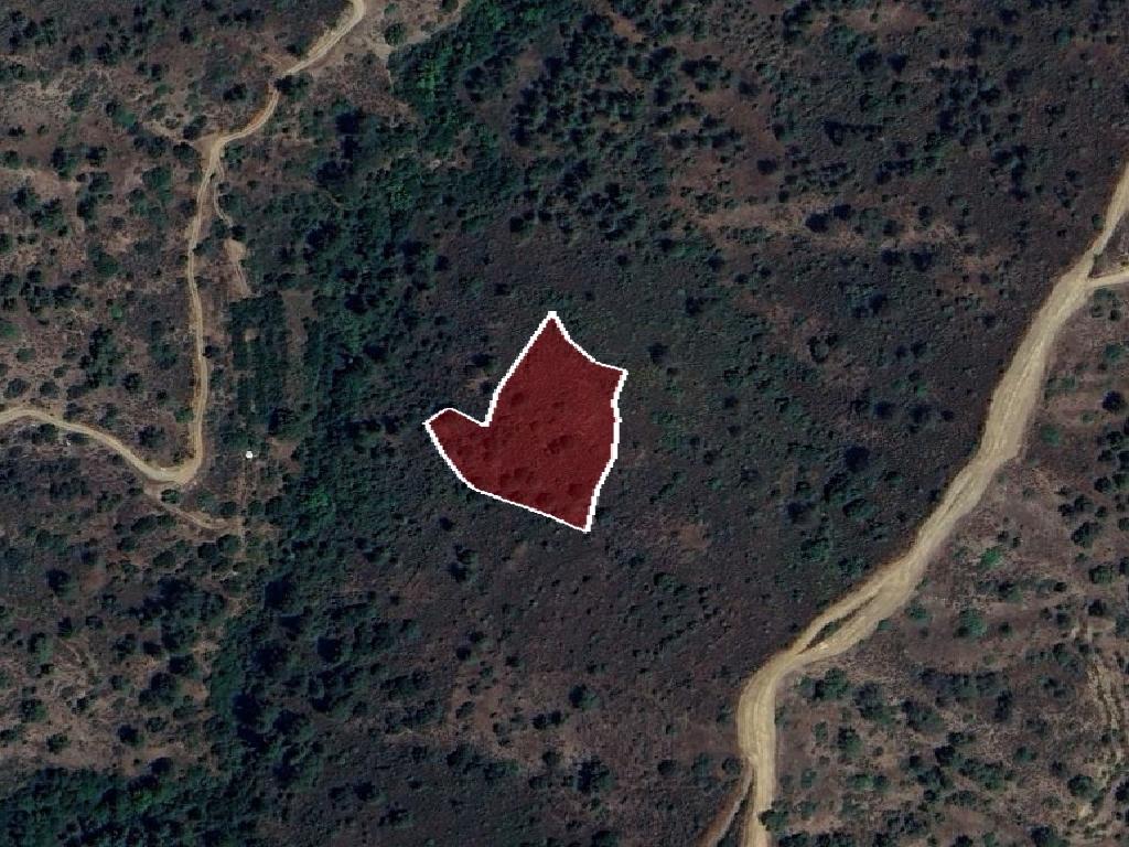 Field-Galata-PR42425