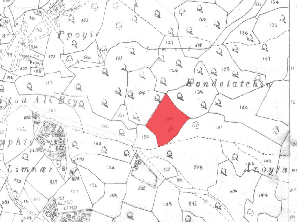 Field-Pissouri-PR13615