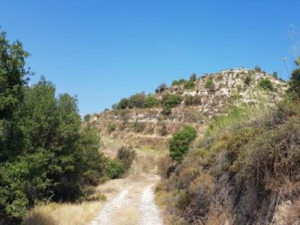 Field-Pachna-PR12022