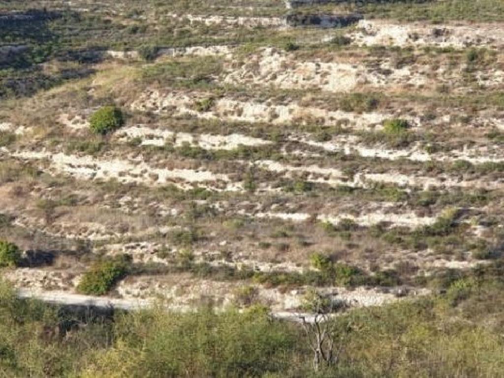 Field-Pachna-PR12022