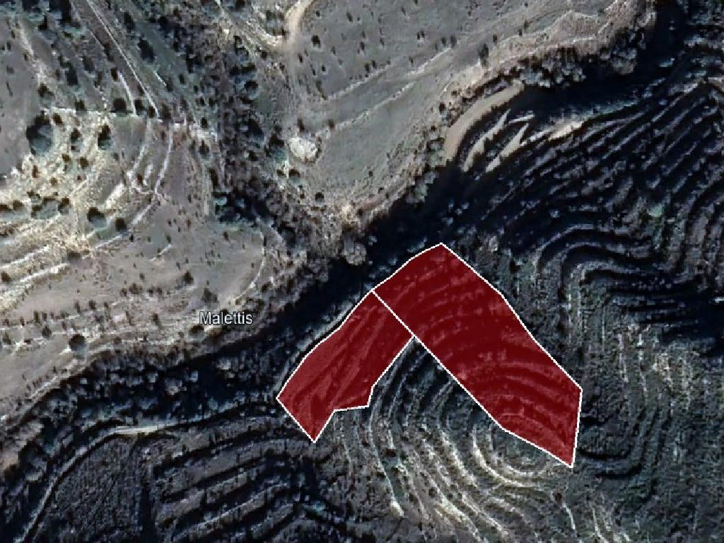 Field-Pachna-PR12022