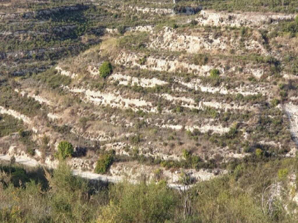 Field-Pachna-PR12022