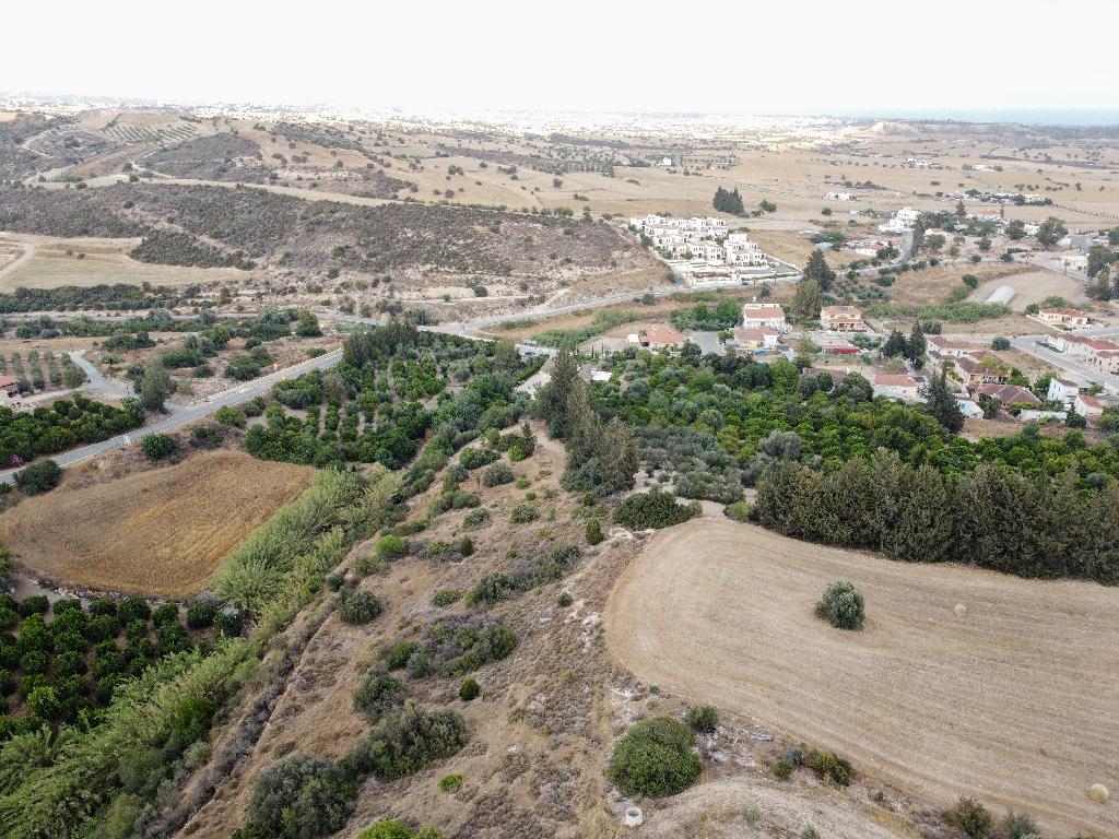 Field - Alaminos, Larnaca