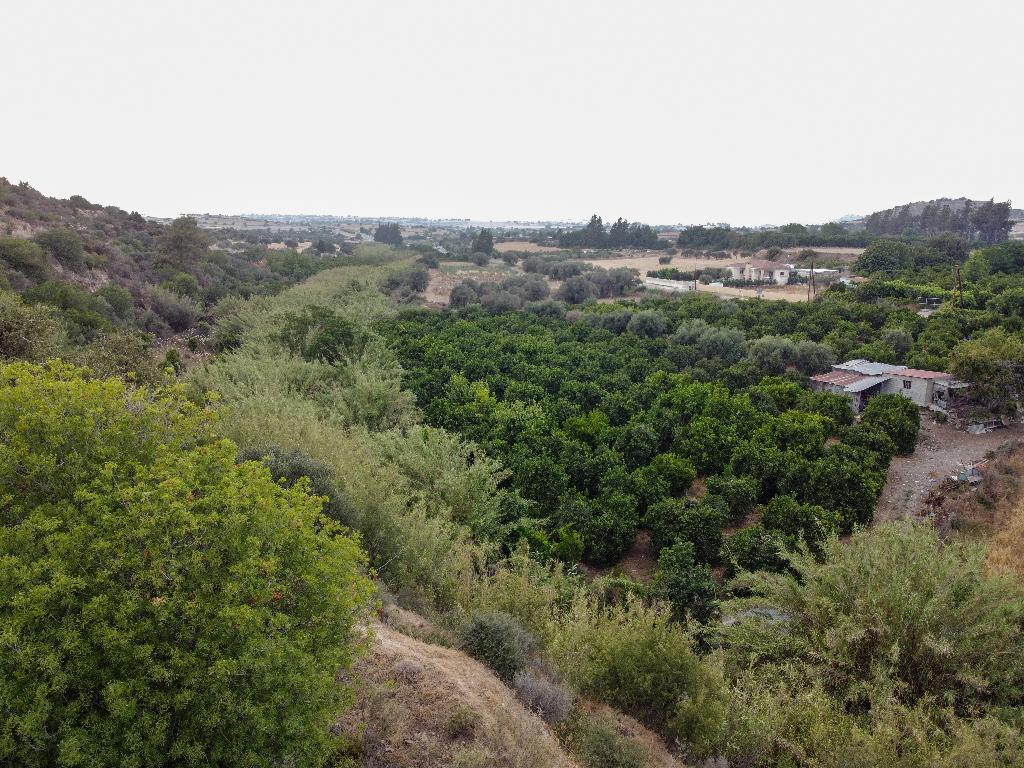 Field - Alaminos, Larnaca