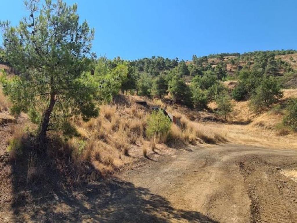 Field-Pano Pyrgos-PR33530