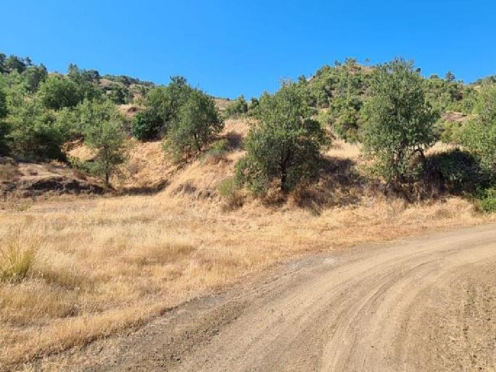 Field-Pano Pyrgos-PR33530