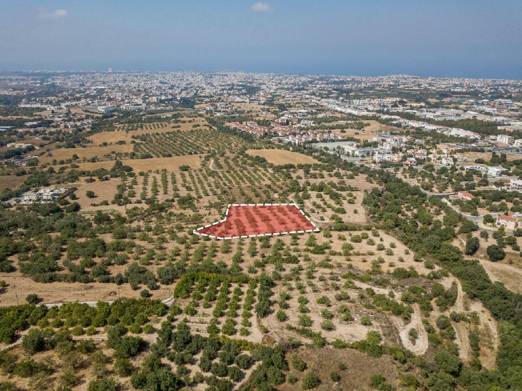 Field - Mesa Chorio, Paphos