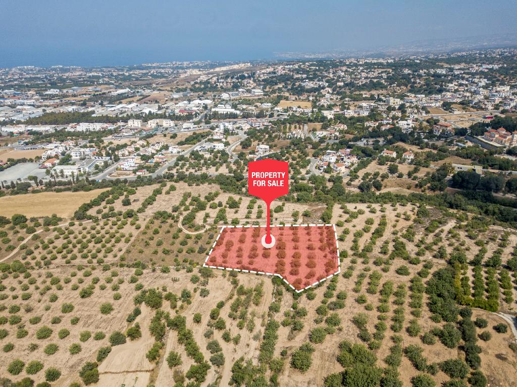 Field - Mesa Chorio, Paphos