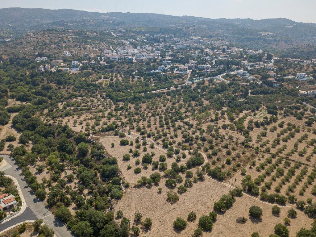 Field - Mesa Chorio, Paphos