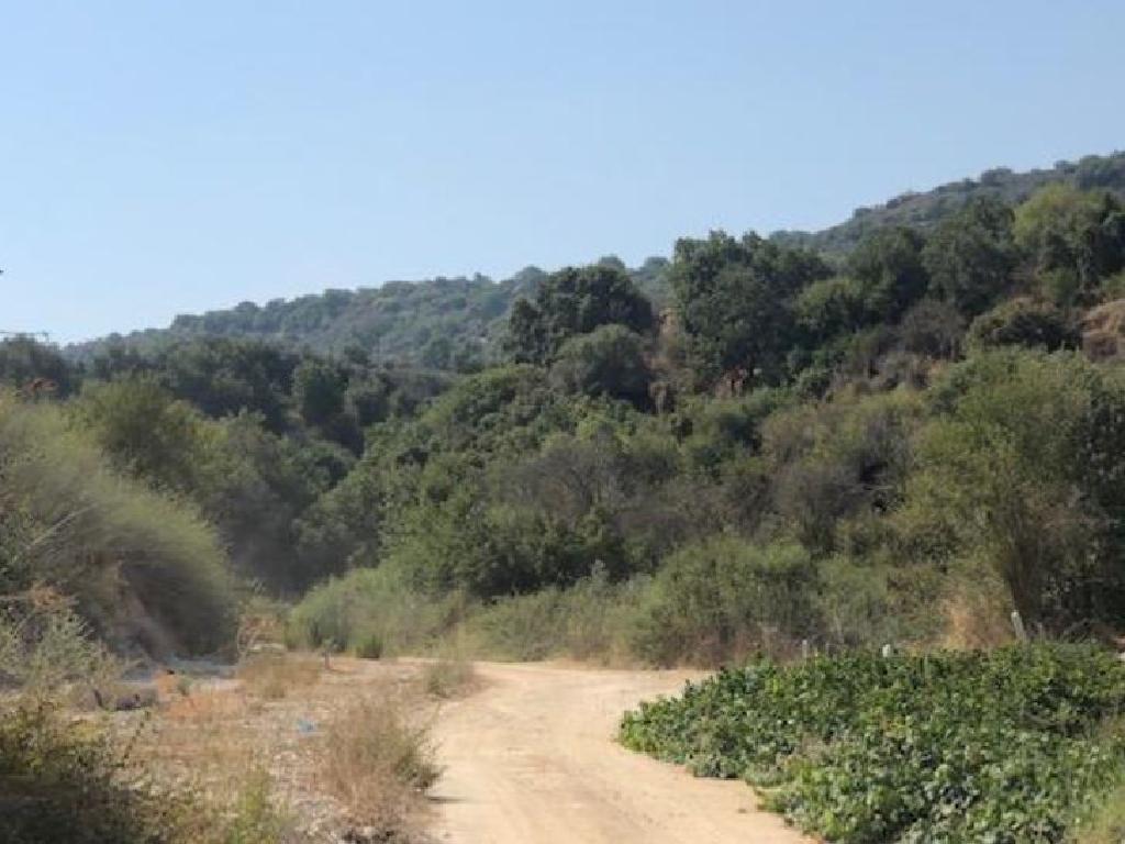 Field-Giolou-PR34700