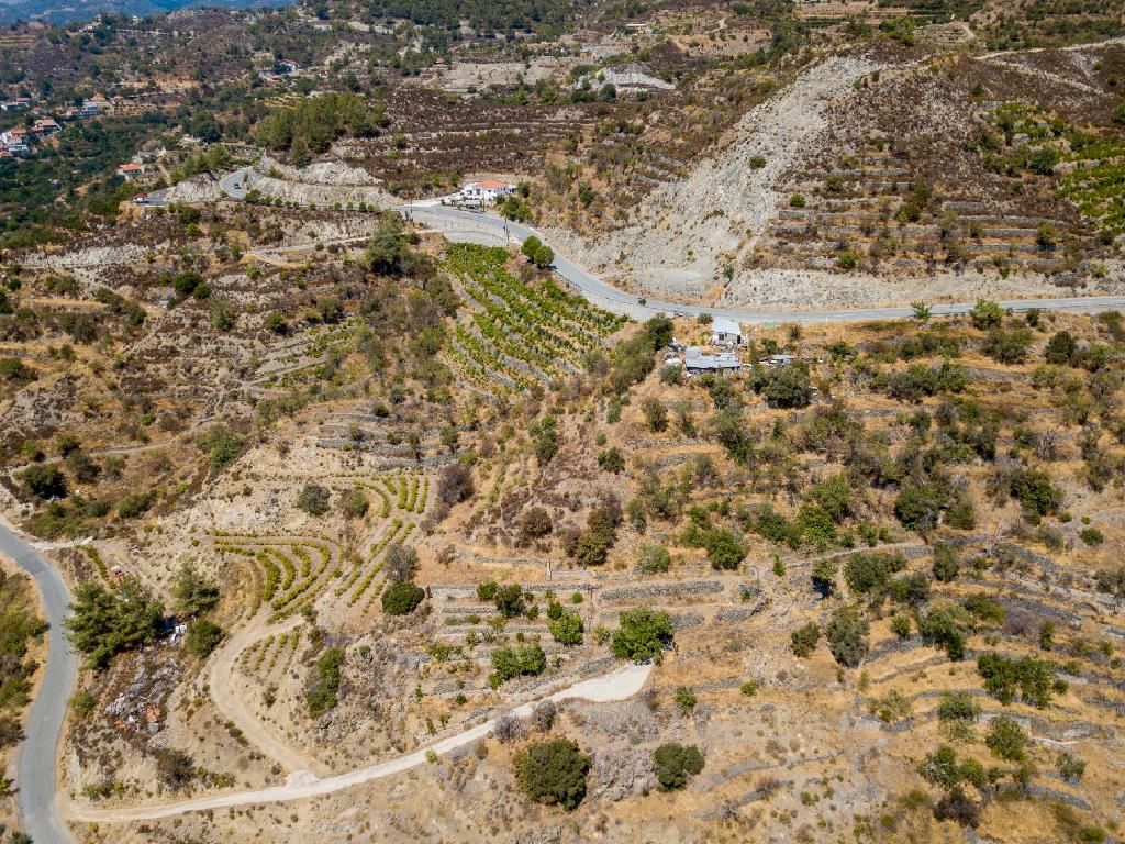 Field-Agros-PR35078