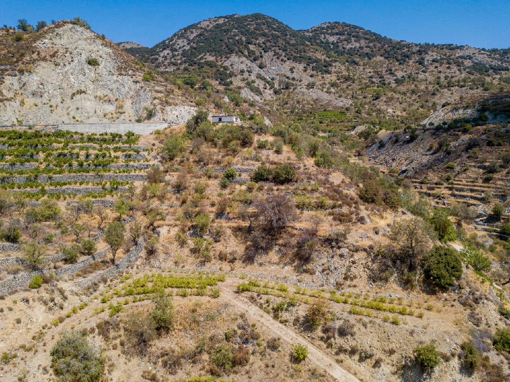 Field-Agros-PR35078