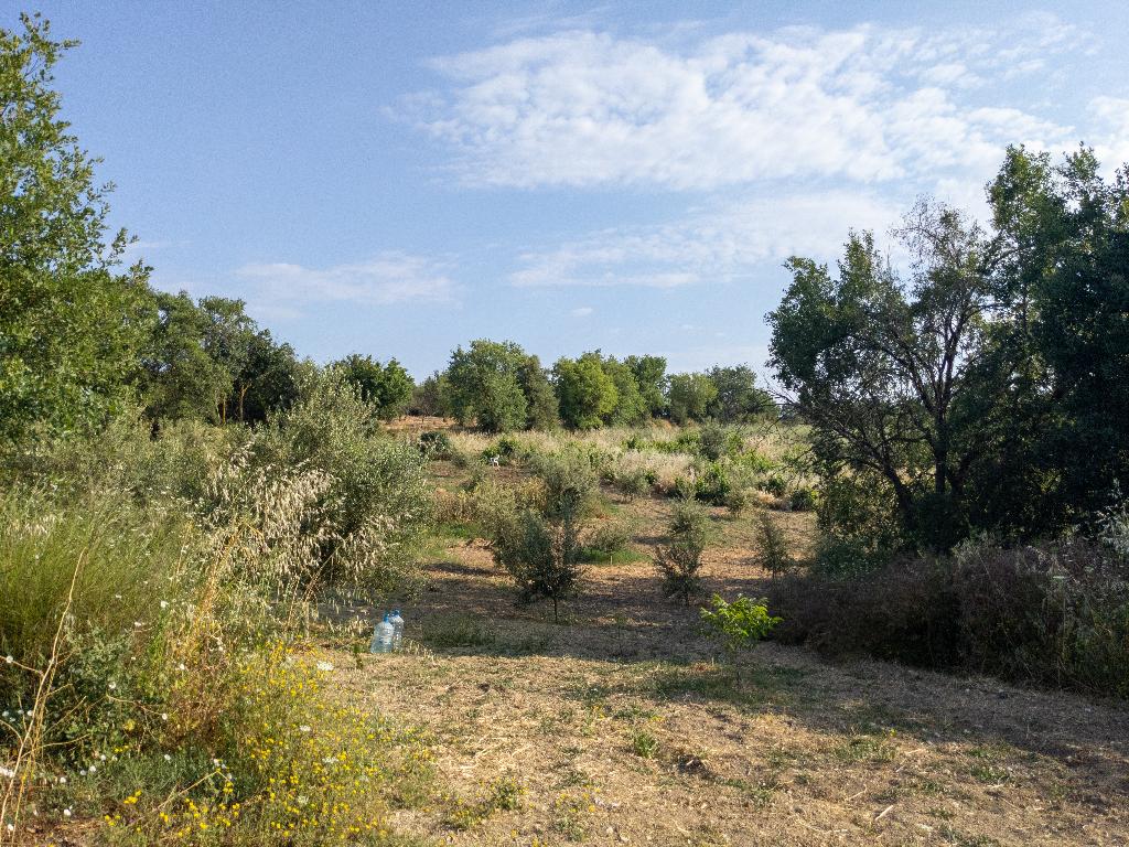 Field-Giolou-PR35029
