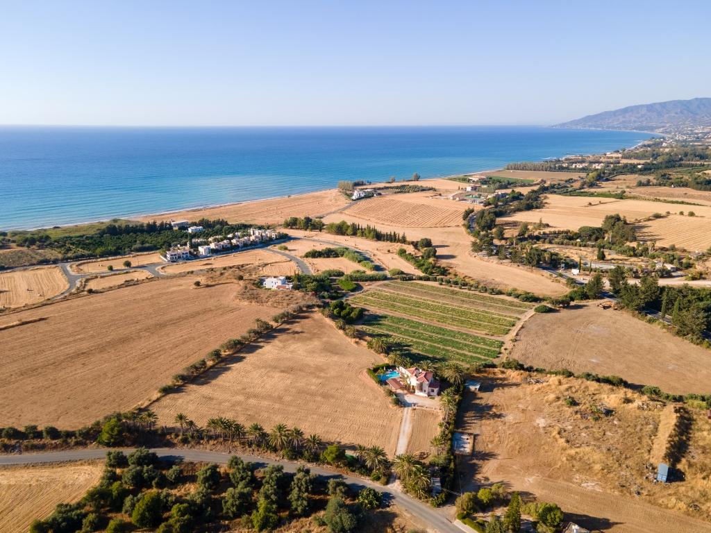 Field (Share) - Polis Chrysochous , Paphos