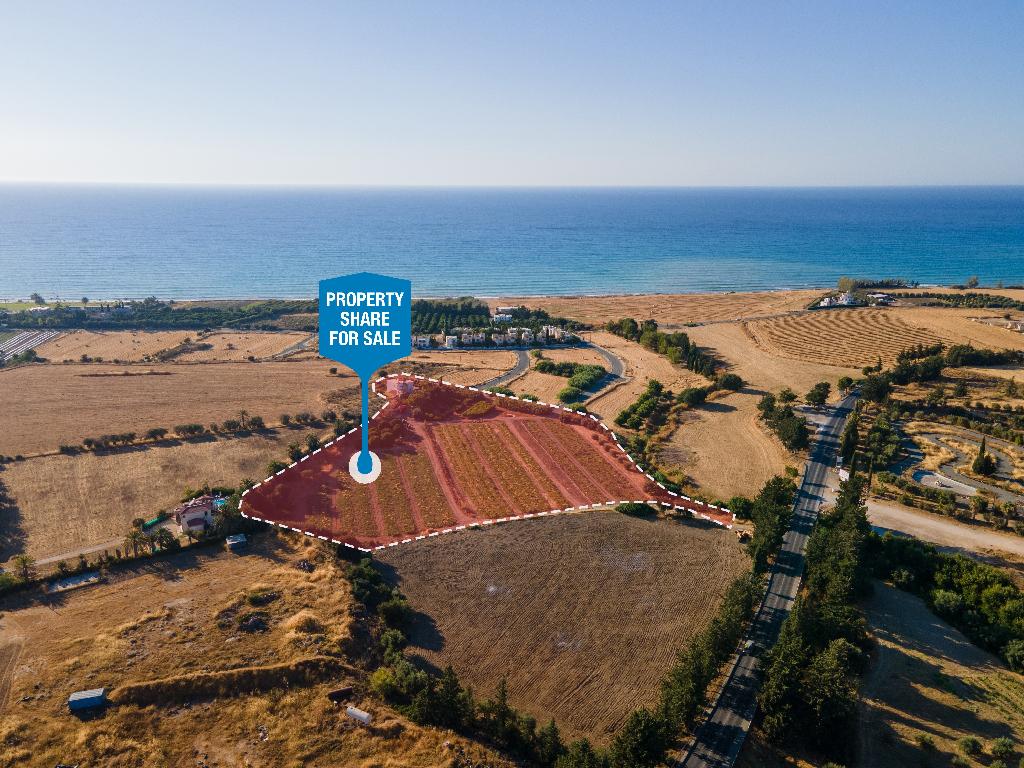 Field (Share) - Polis Chrysochous , Paphos