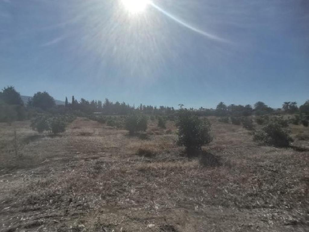 &Chi;&omega;&rho;ά&phi;&iota; (&Mu;&epsilon;&rho;ί&delta;&iota;&omicron;) - &Pi;ό&lambda;&eta;&sigmaf; &Chi;&rho;&upsilon;&sigma;&omicron;&chi;&omicron;ύ&sigmaf;, &Pi;ά&phi;&omicron;&sigmaf;