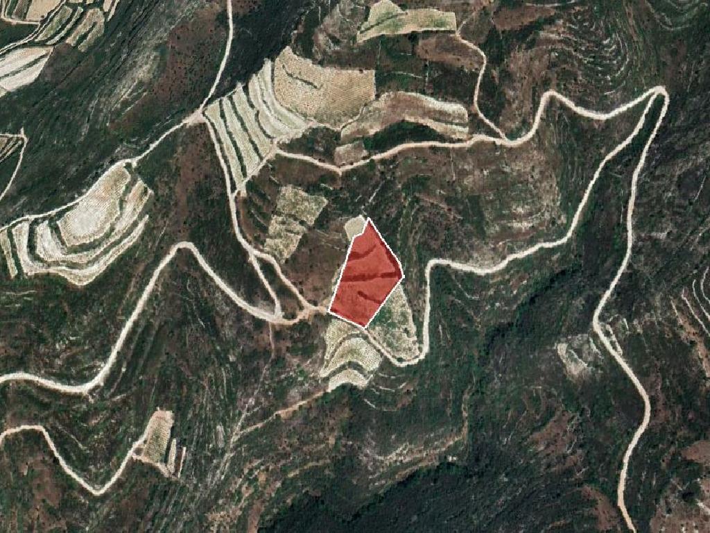 Field-Koilani-PR36533