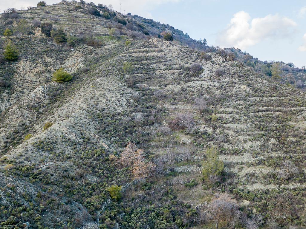 Field-Agros-PR36496