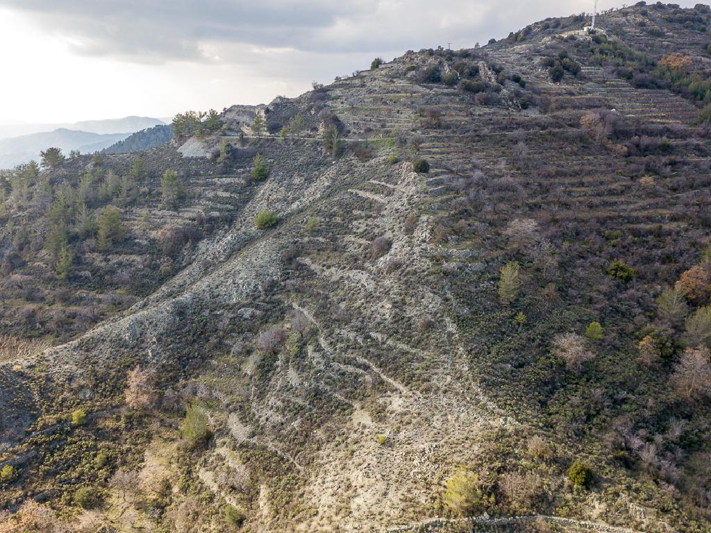 Field-Agros-PR36496