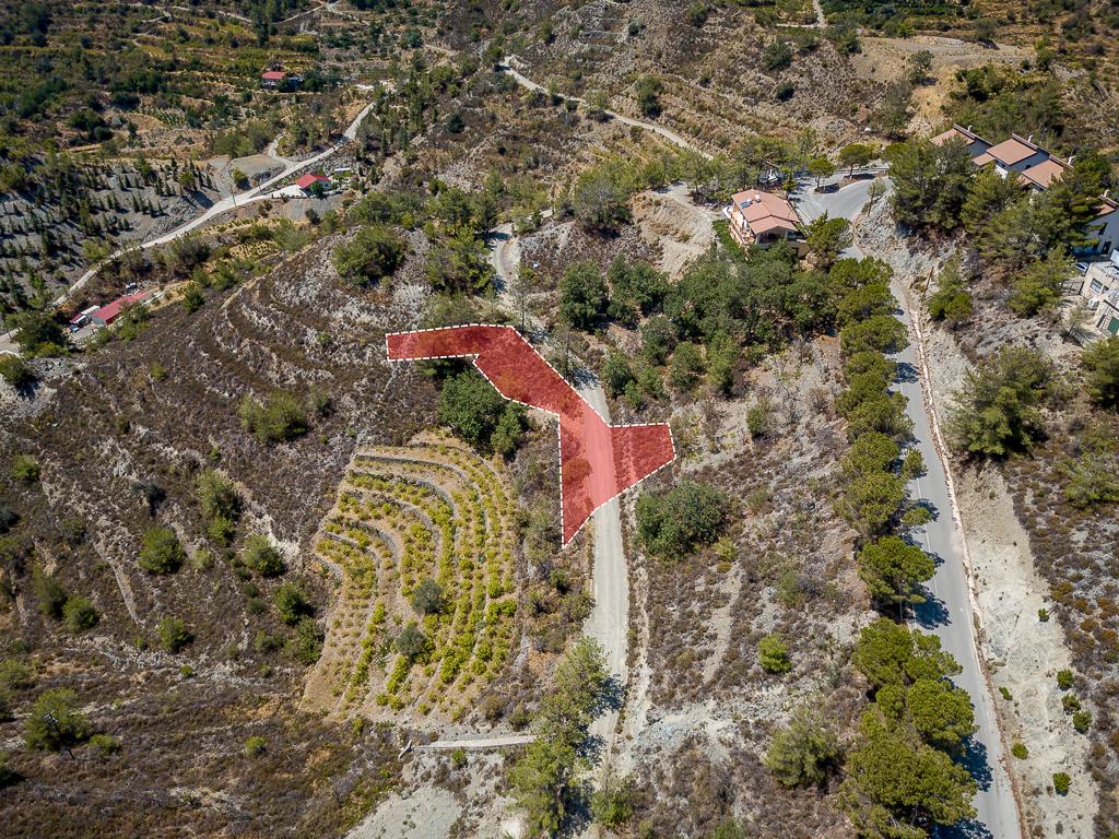 Field-Agros-PR37358