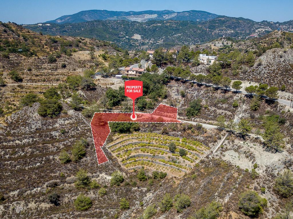 Field-Agros-PR37358