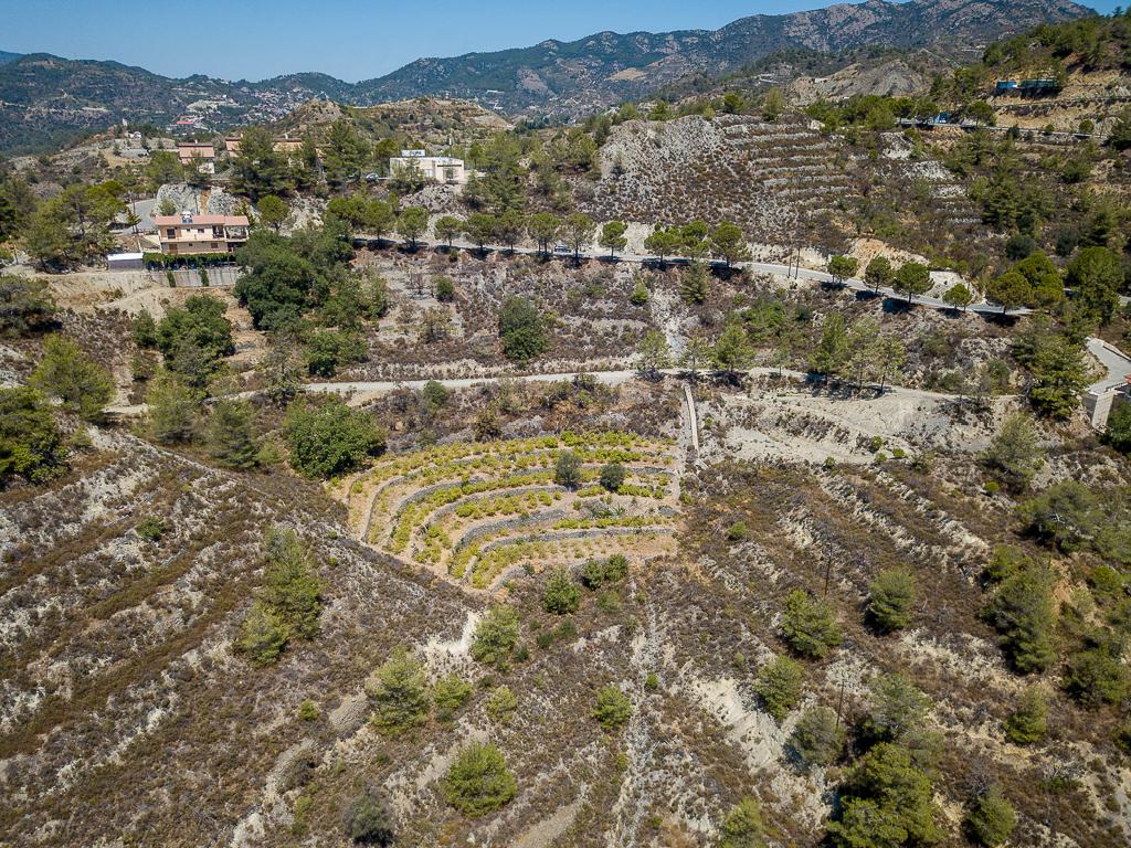Field-Agros-PR37358