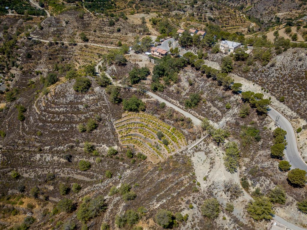 Field-Agros-PR37358