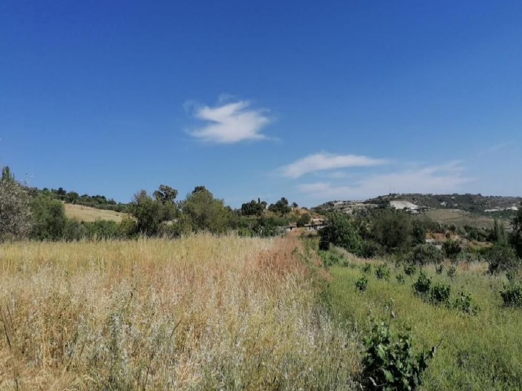 Field - Statos - Agios Fotios, Paphos