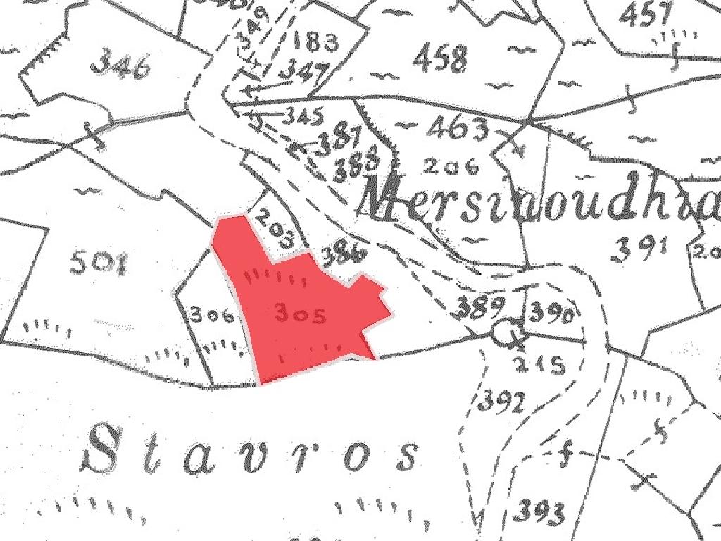 Field-Platanistasa-PR38851