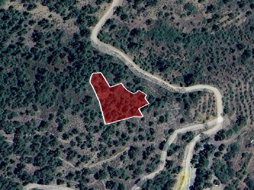 Field-Platanistasa-PR38851
